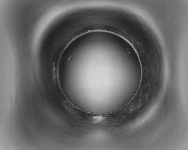 X0000113870050200909241340