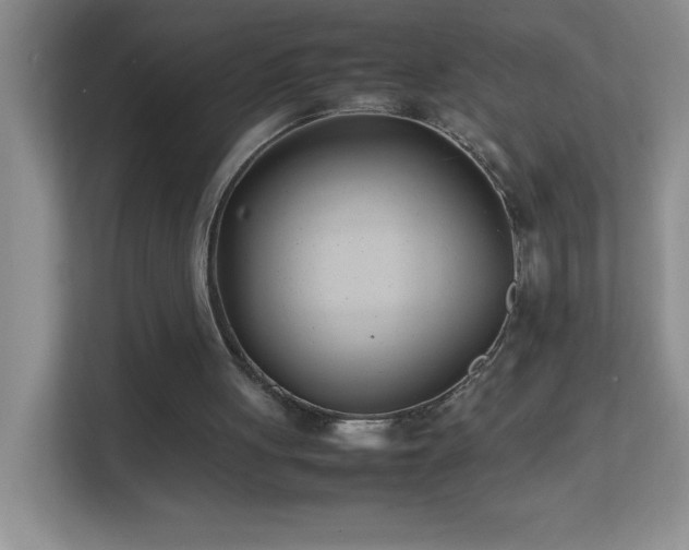 X0000113870051200909241340