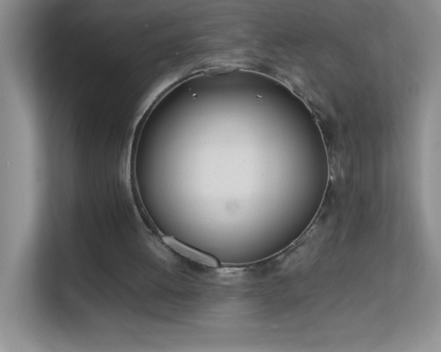 X0000113870052200909241340