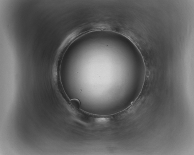 X0000113870053200909241340