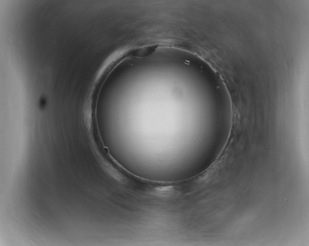 X0000113870054200909241340