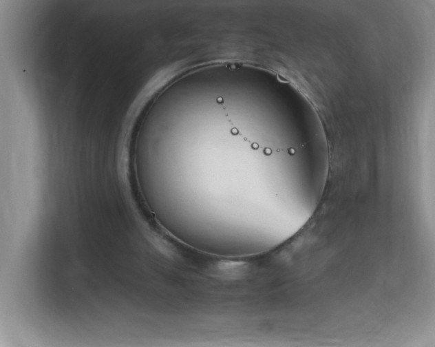 X0000113870055200909241340