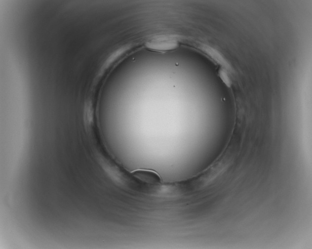 X0000113870060200909241340