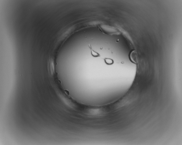 X0000113870061200909241340