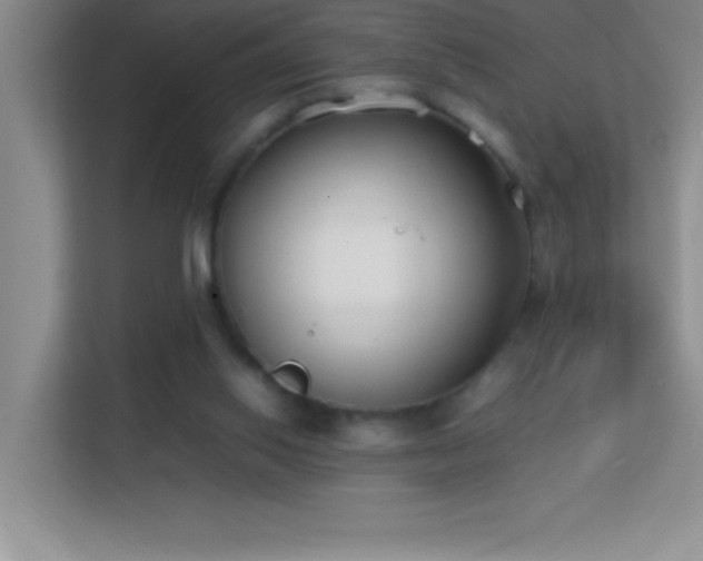 X0000113870062200909241340