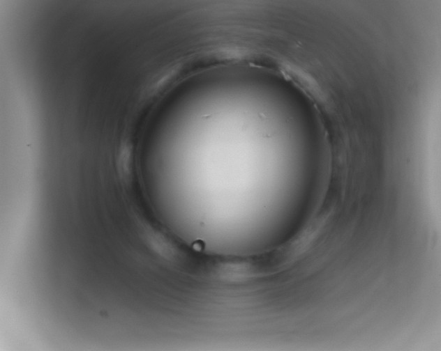 X0000113870066200909241340