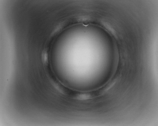 X0000113870067200909241340