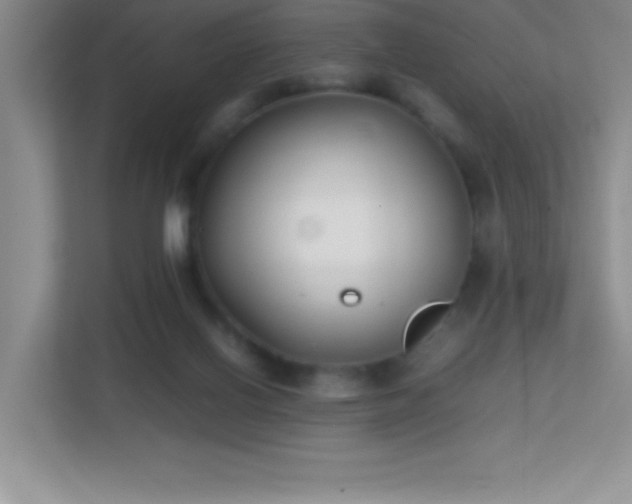 X0000113870070200909241340