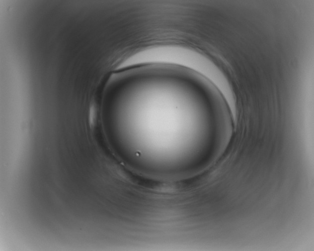 X0000113870076200909241340