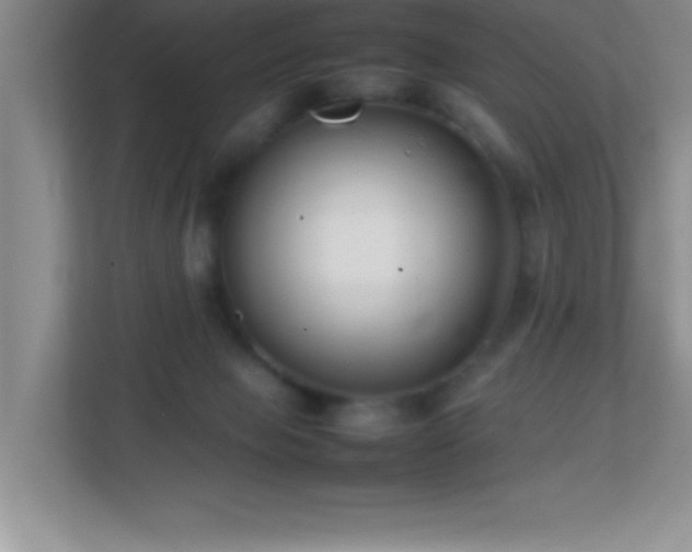 X0000113870077200909241340