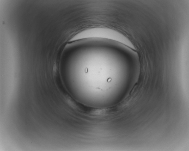 X0000113870084200909241340