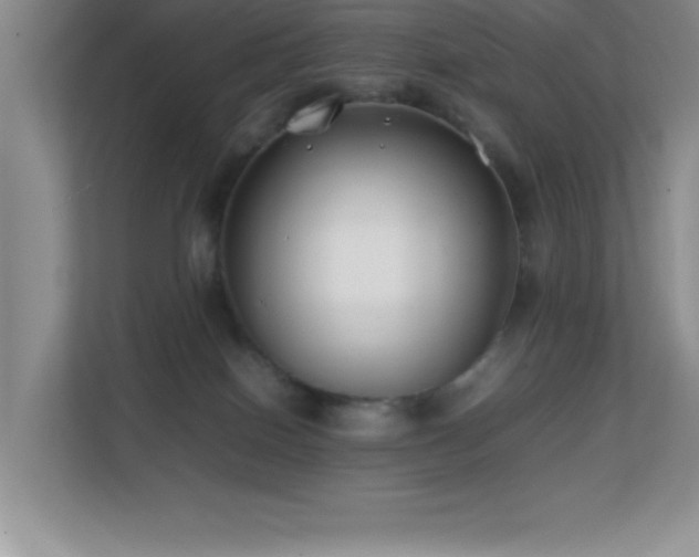 X0000113870086200909241340