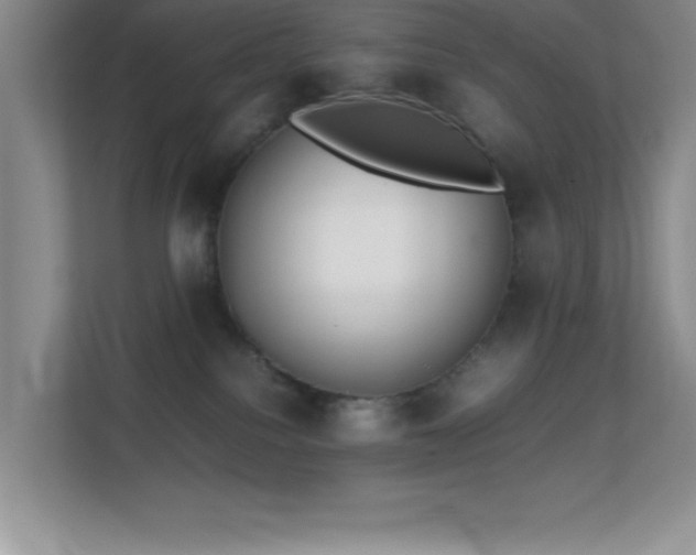 X0000113870088200909241340