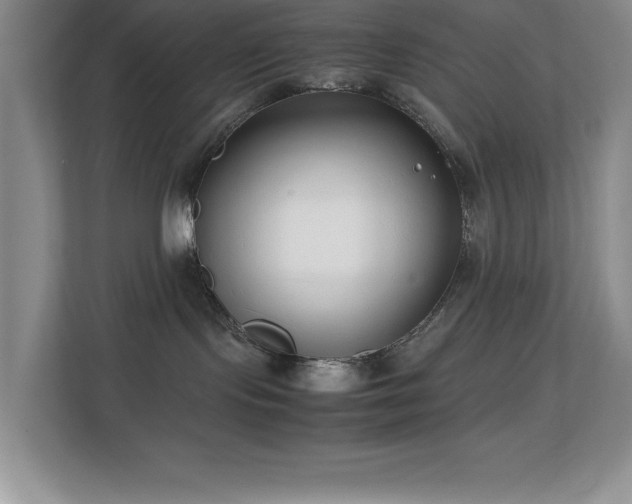 X0000113870095200909241341