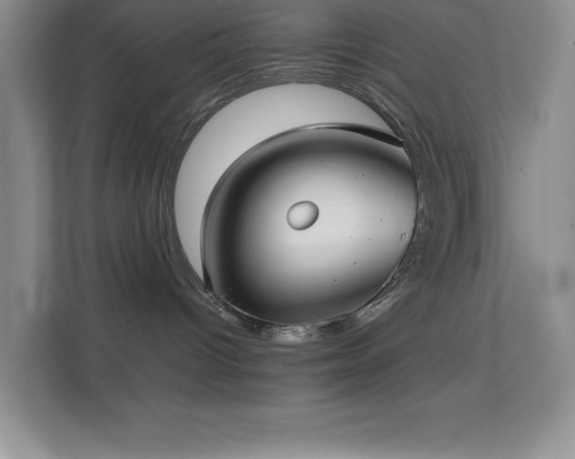 X0000113870096200909241341