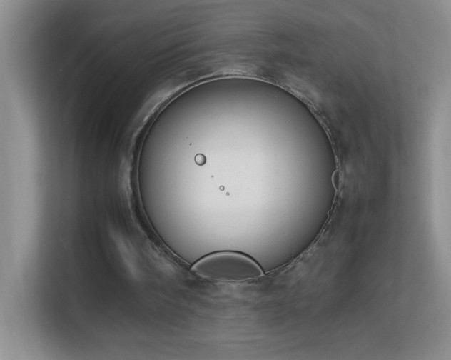 X0000113870098200909241340