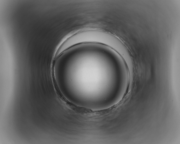 X0000113870100200909241340