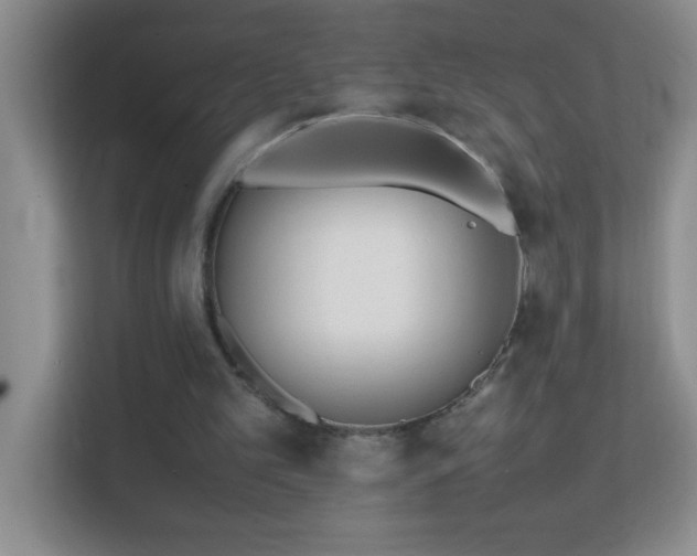 X0000113870101200909241340