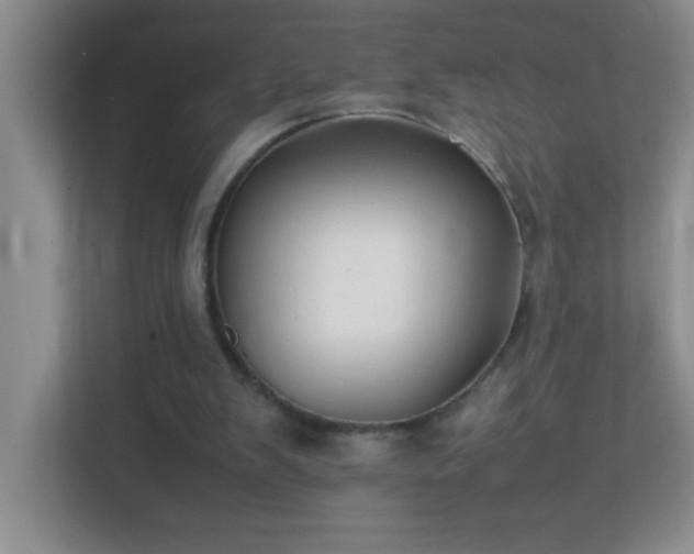 X0000113870103200909241340