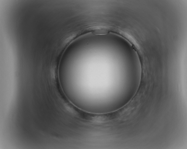 X0000113870105200909241340