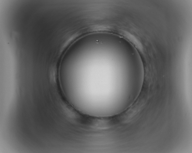 X0000113870107200909241340