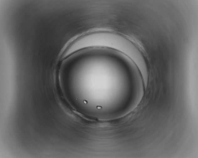 X0000113870108200909241340