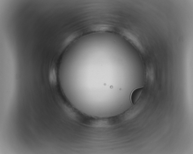 X0000113870110200909241340