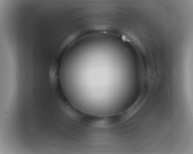 X0000113870116200909241340