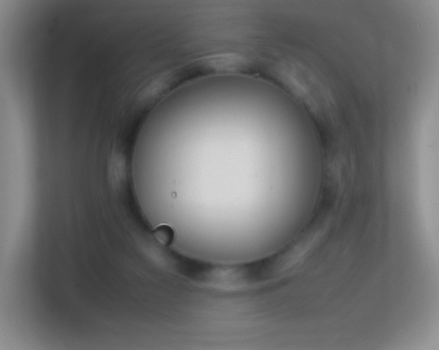 X0000113870117200909241340