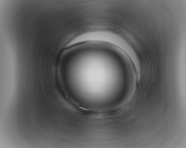 X0000113870120200909241340