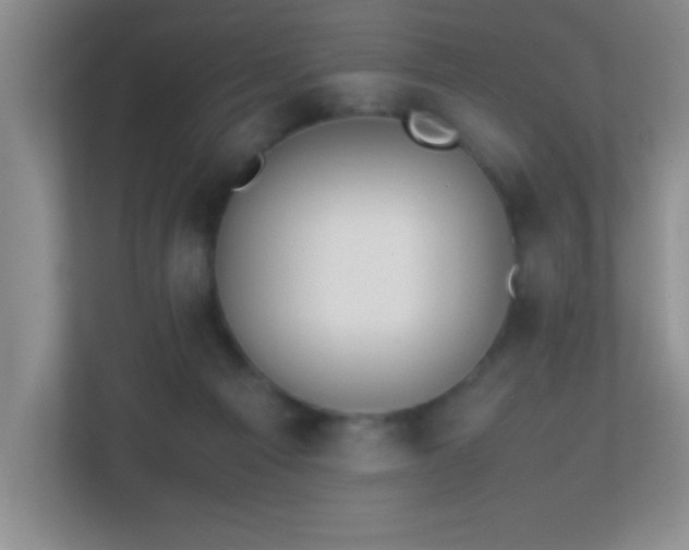 X0000113870121200909241340