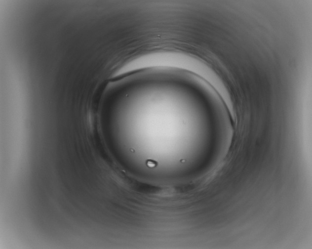 X0000113870124200909241340