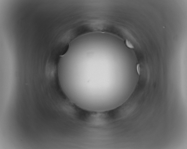 X0000113870125200909241340