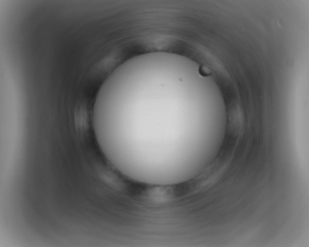 X0000113870126200909241340