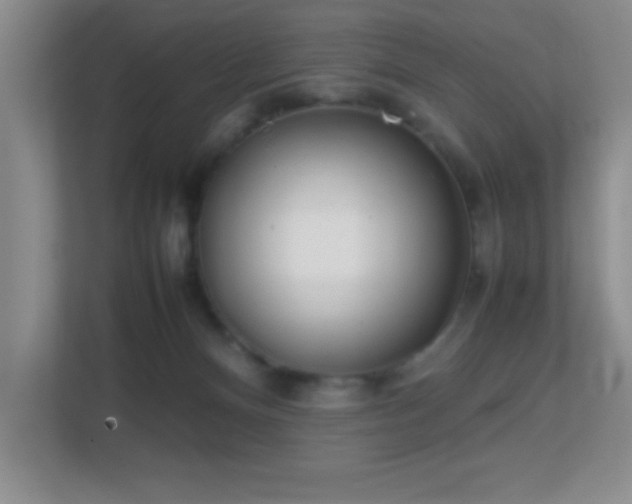 X0000113870128200909241340