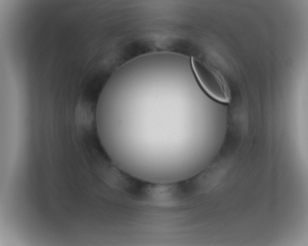 X0000113870129200909241340