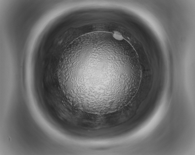 X0000113870143200909241339