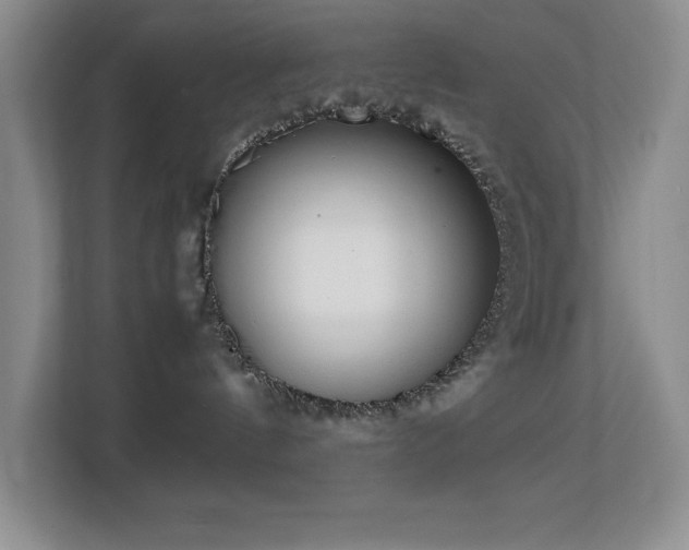 X0000113870144200909241339