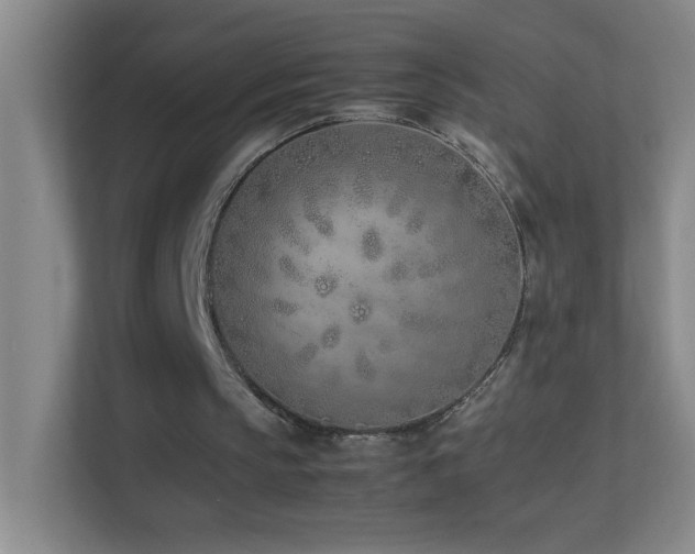 X0000113870145200909241339