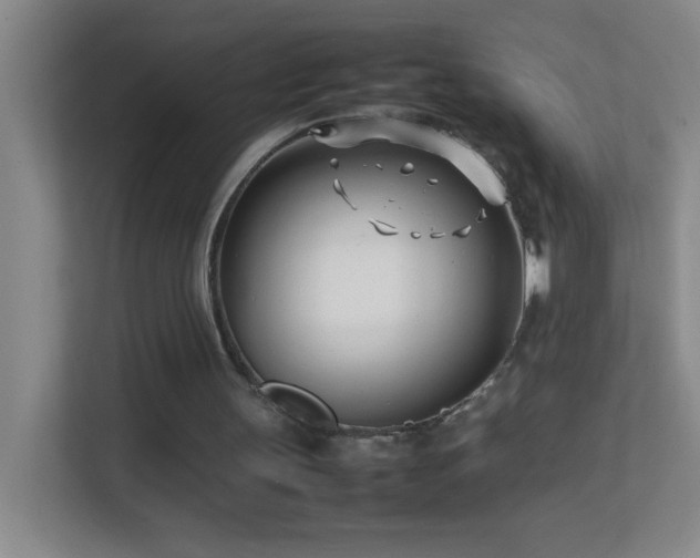 X0000113870147200909241339