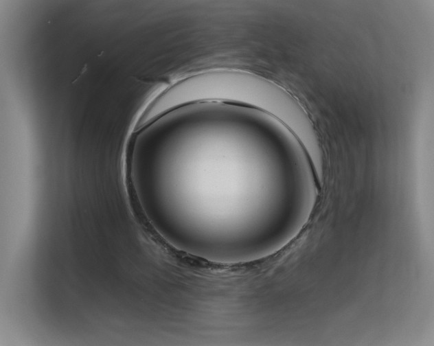 X0000113870148200909241339