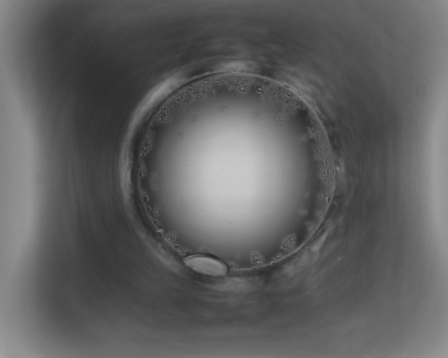 X0000113870149200909241339