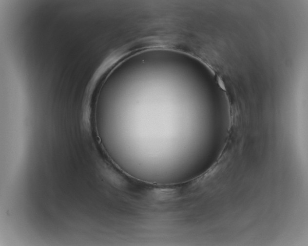 X0000113870150200909241339