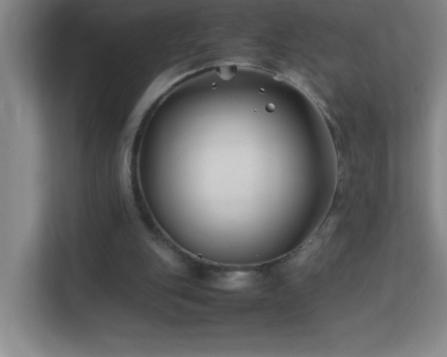 X0000113870151200909241339