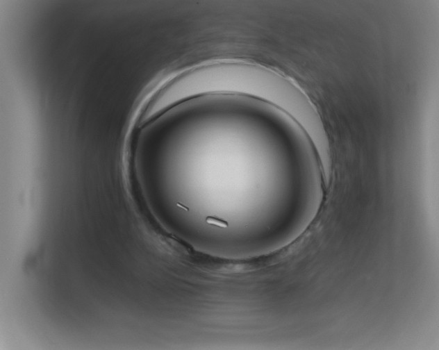 X0000113870152200909241339