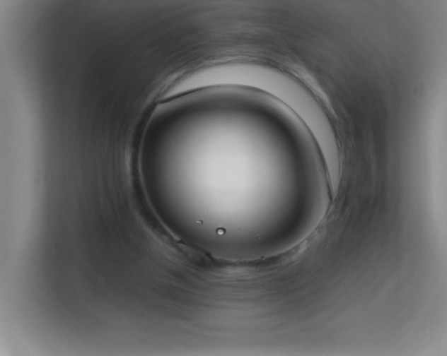 X0000113870154200909241339