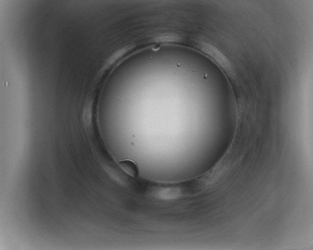 X0000113870155200909241339