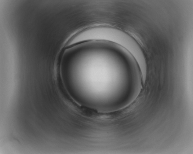 X0000113870156200909241339