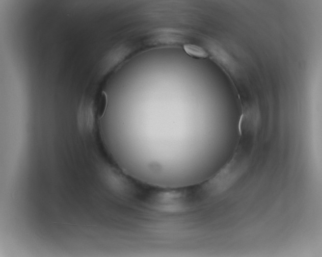 X0000113870158200909241339