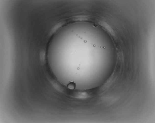 X0000113870159200909241339